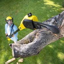 Lawn Pest Prevention in Providence, KY